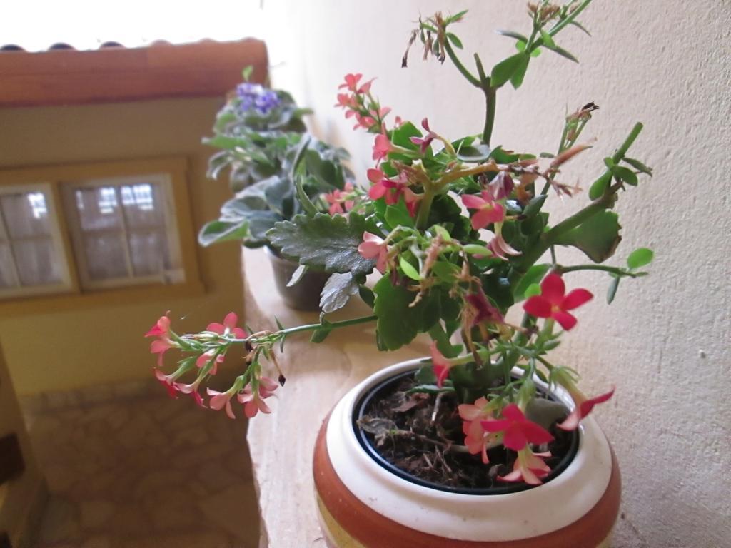 Pousada As Reliquias De Minas Tiradentes Εξωτερικό φωτογραφία