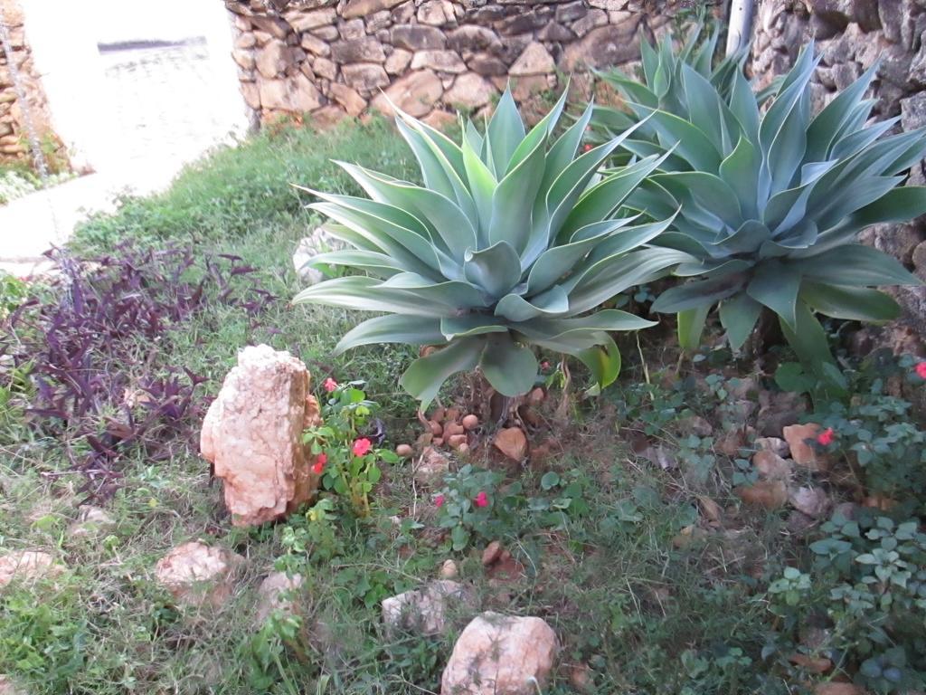 Pousada As Reliquias De Minas Tiradentes Εξωτερικό φωτογραφία